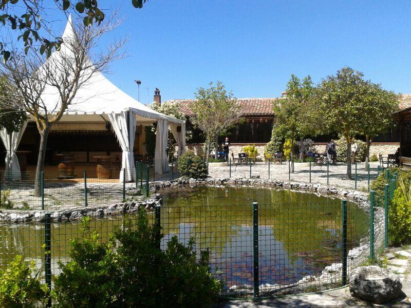 Hotel Los Rastrojos Aranda de Duero Zewnętrze zdjęcie